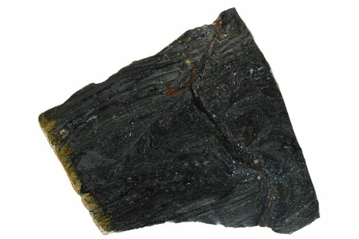 Polished Stromatolite (Alcheringa) Slab - Billion Years #180004